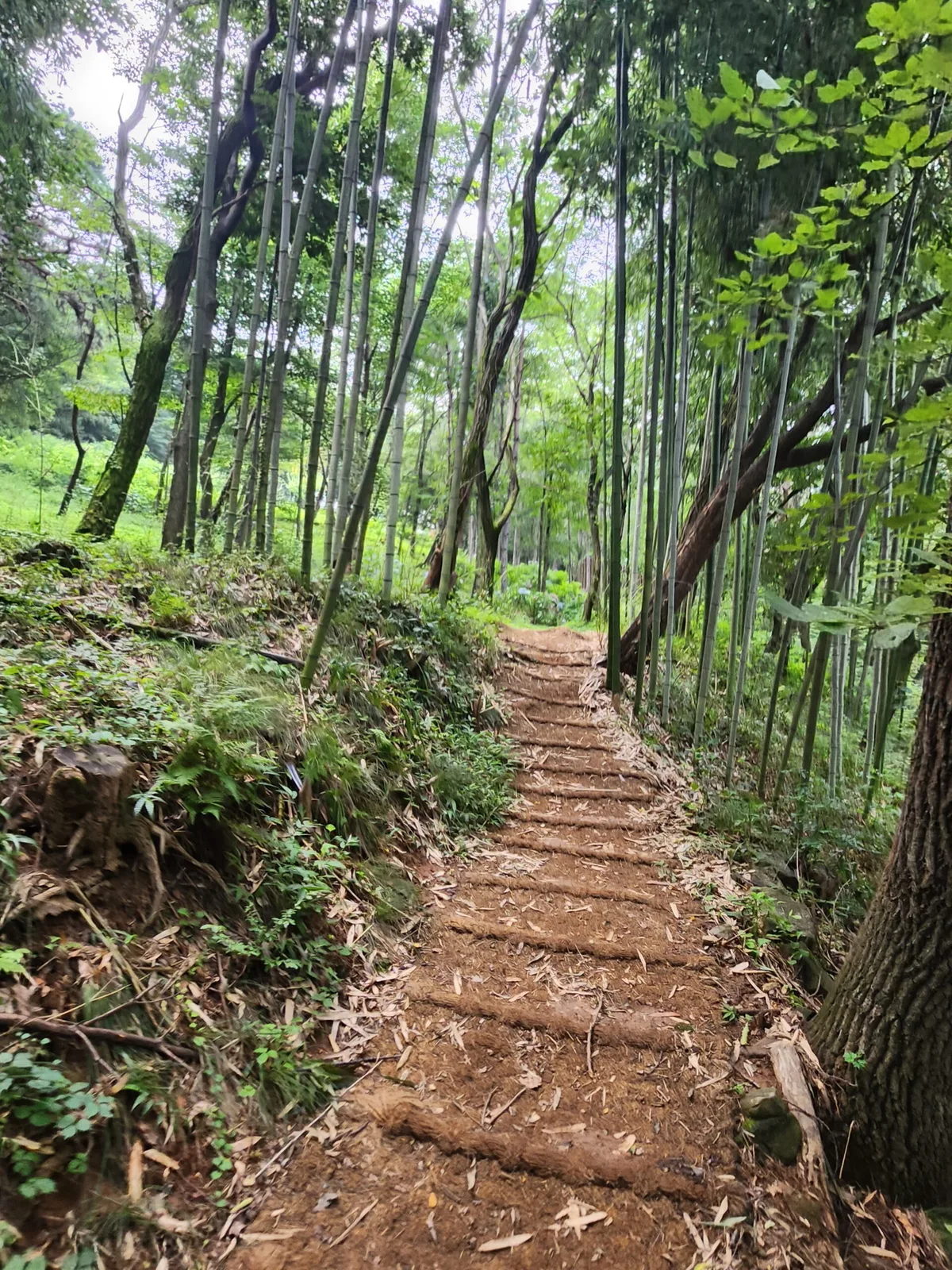 Sfeerfoto Kpoppers in Zuid-Korea